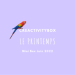 Mini Box Juin 2022 Le printemps Photo boutique site