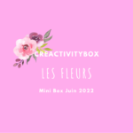 Mini Box Juin 2022 Les fleurs Photo boutique site